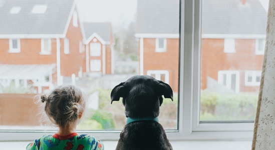 Small child and dog looking out of a window with their backs to the camera