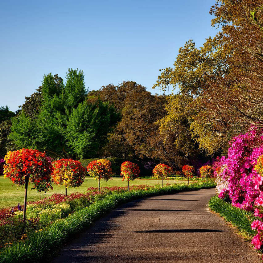 Walkway surrounded by colorful shrubbery